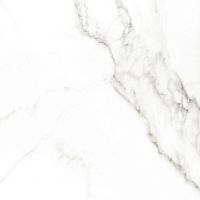 Керамогранит Carrara Premium white PG 01 600х600